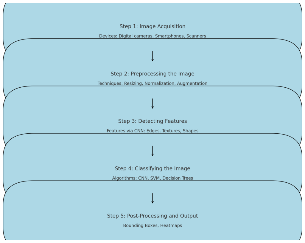 How Does Image Recognition Work in AI