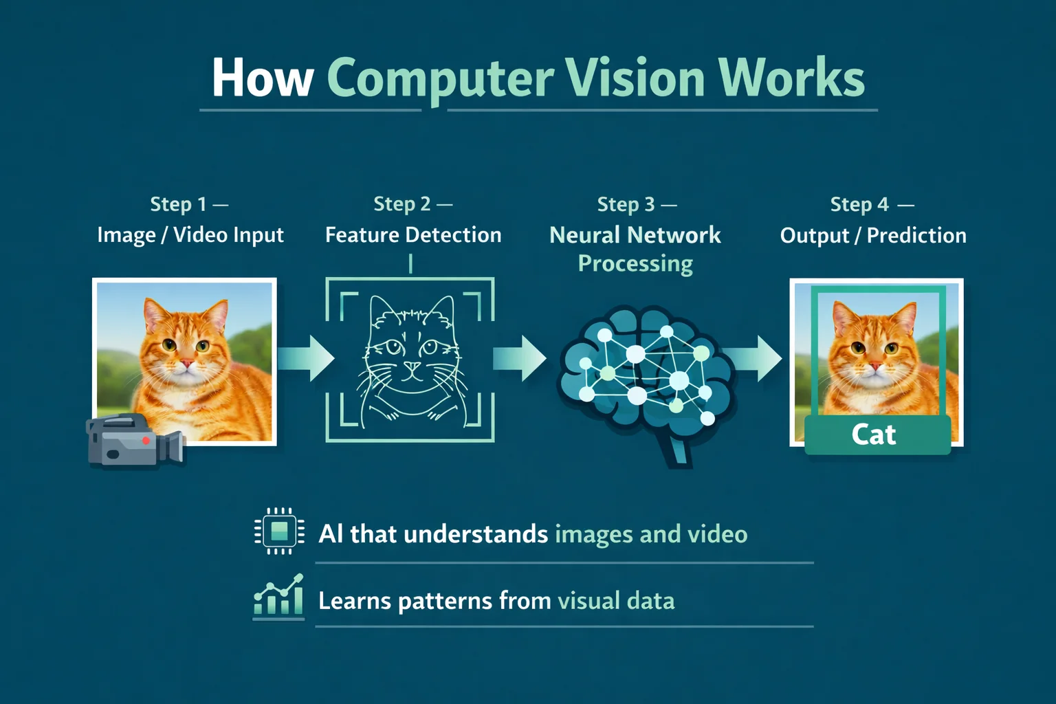 How computer vision works step by step from image input to AI prediction

