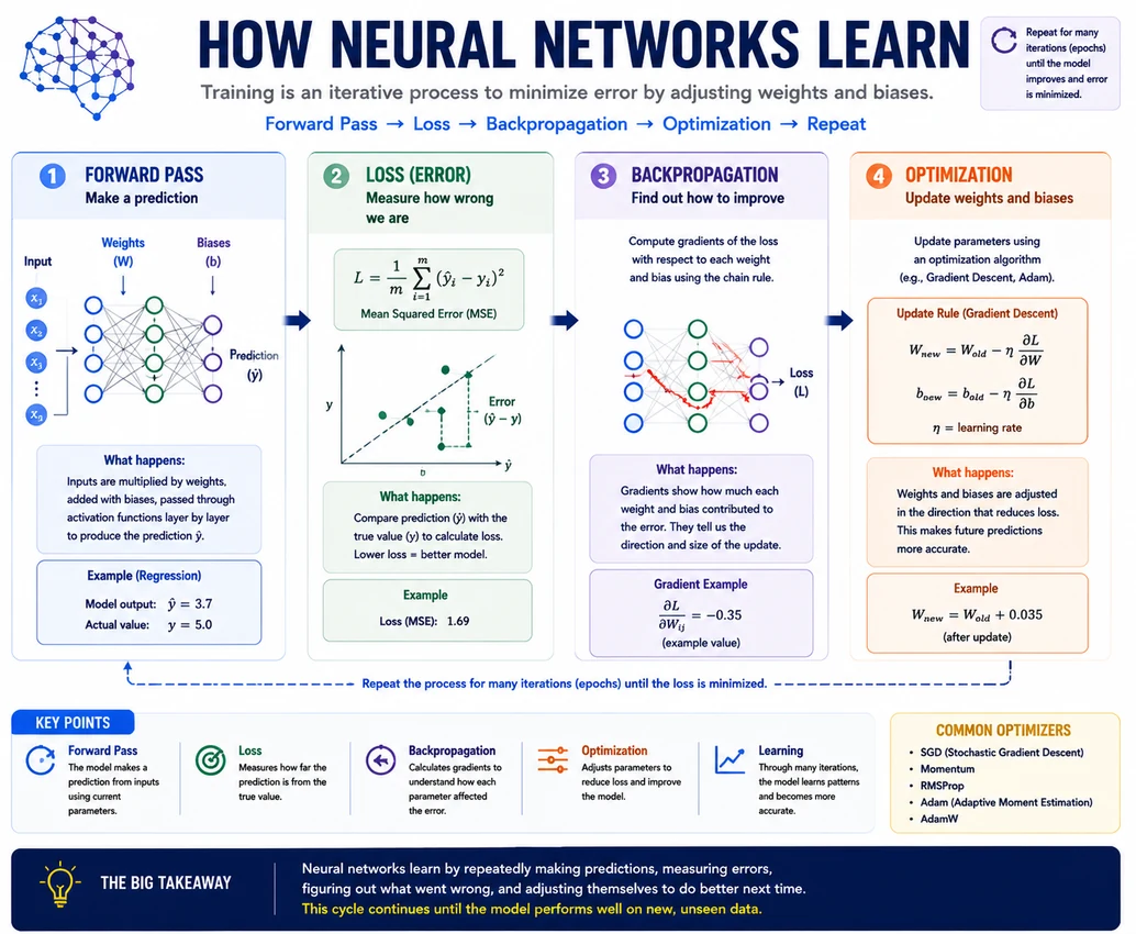 Neural network training loop showing a forward pass, loss calculation, backpropagation computing gradients, and an optimizer updating model parameters.