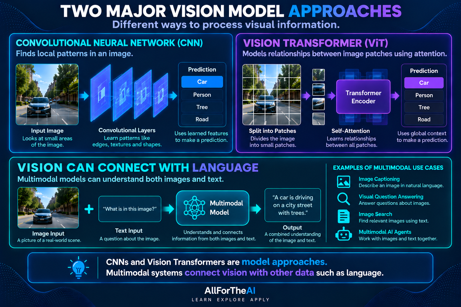 CNN and Vision Transformer approaches, with a multimodal vision-and-language example.