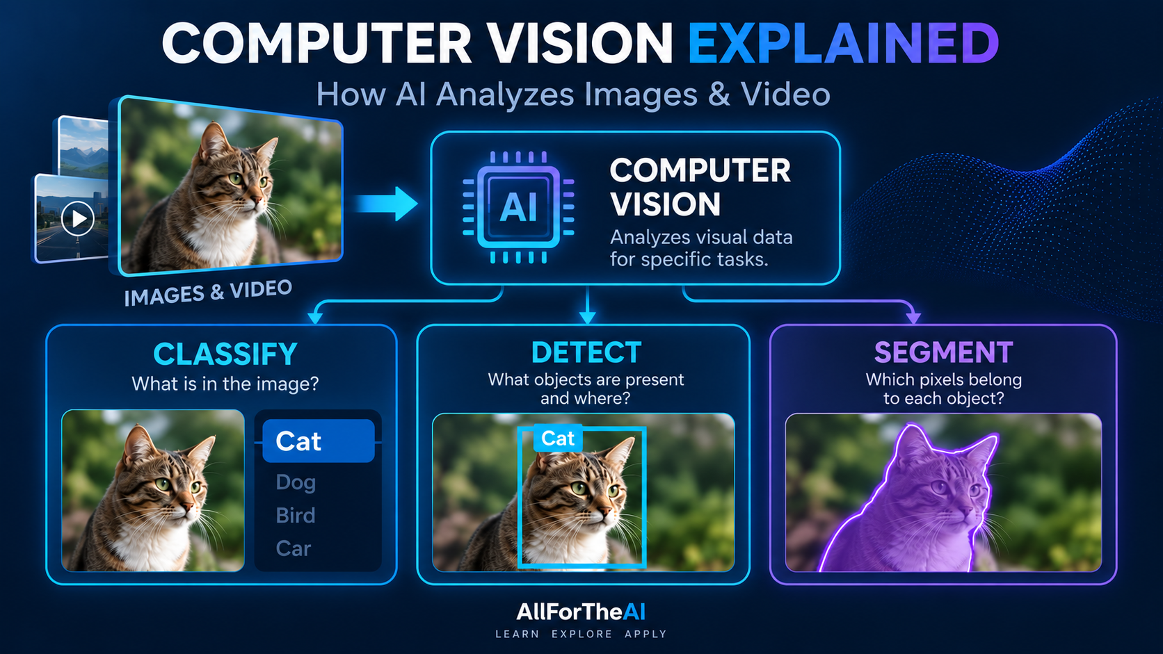 Computer vision classifying, detecting, and segmenting a cat image.