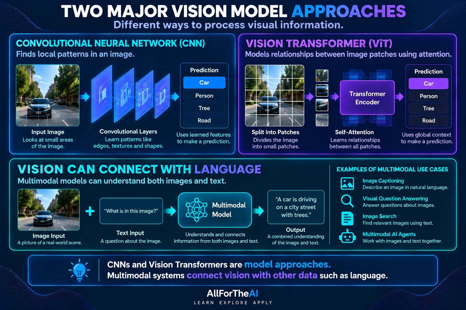 CNN and Vision Transformer approaches, with a multimodal vision-and-language example.